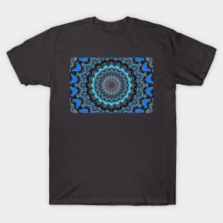 Kaleidoscope 1 T-Shirt